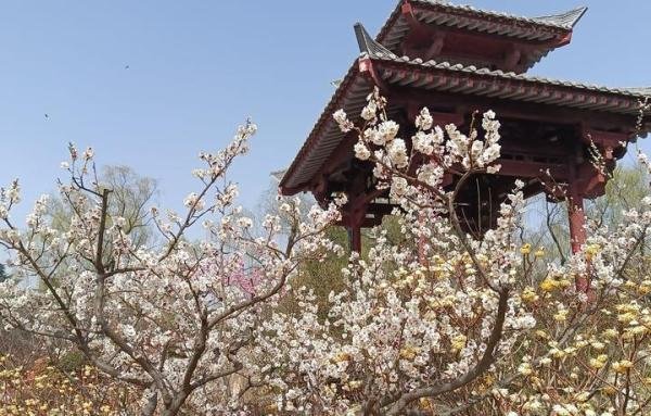 《春分》