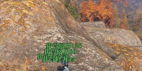 怎样做天刀荡寇任务