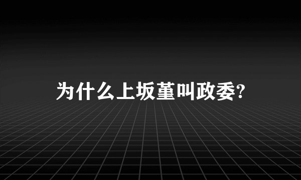 为什么上坂堇叫政委?