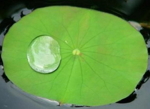 表面张力和表面能的区别和联系是什么？