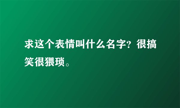求这个表情叫什么名字？很搞笑很猥琐。