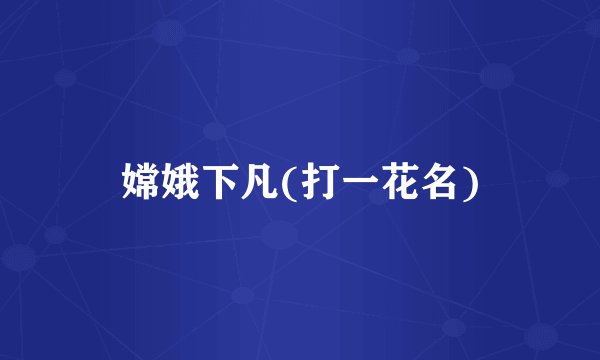嫦娥下凡(打一花名)