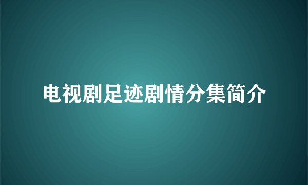 电视剧足迹剧情分集简介