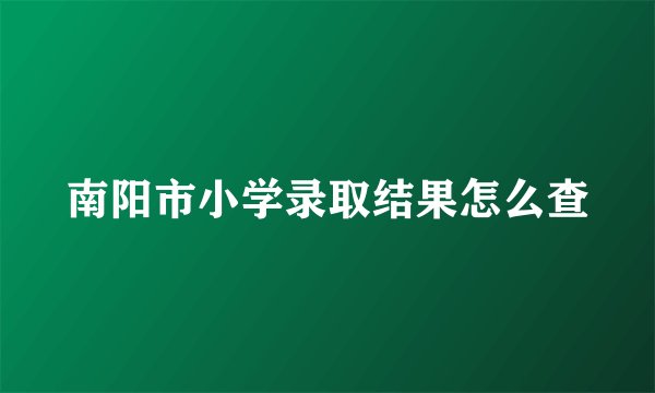 南阳市小学录取结果怎么查
