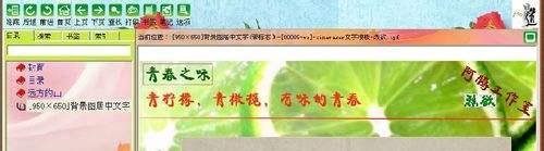 友益文书制作电子杂志-利用zinemaker内页模板