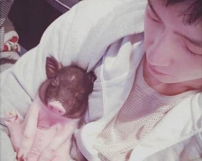 有人捧弟弟有人捧儿子,井柏然竟然选择捧猪,这是怎么回事?