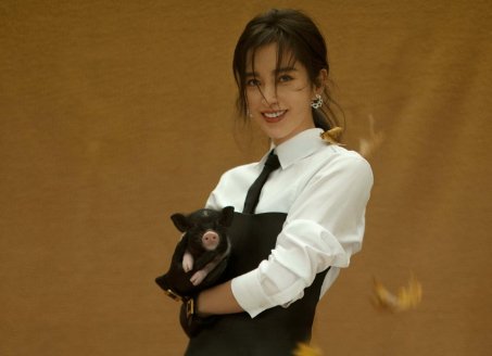 有人捧弟弟有人捧儿子,井柏然竟然选择捧猪,这是怎么回事?
