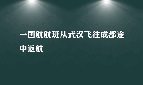 一国航航班从武汉飞往成都途中返航