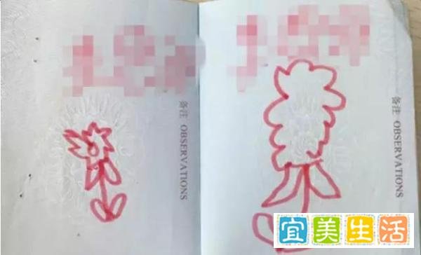 那些年被熊孩子毁过的护照