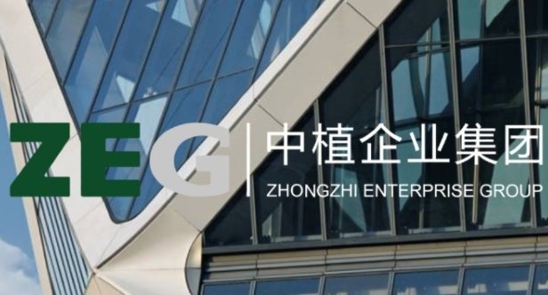 中植集团的历史背景