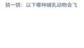 哪种哺乳动物会飞？蚂蚁庄园12.27答案