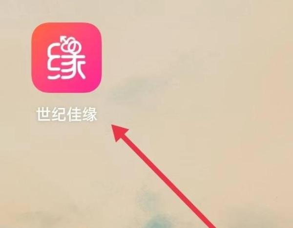 怎么查询世纪佳缘的免费测试