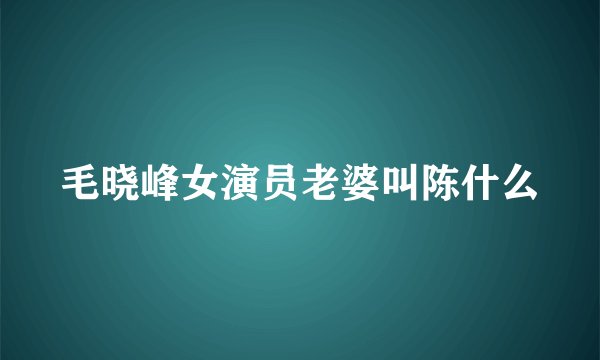 毛晓峰女演员老婆叫陈什么