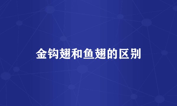 金钩翅和鱼翅的区别