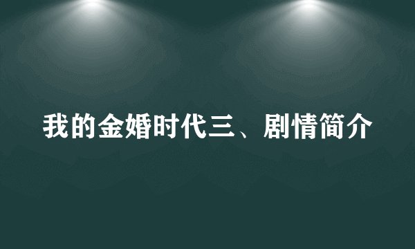 我的金婚时代三、剧情简介