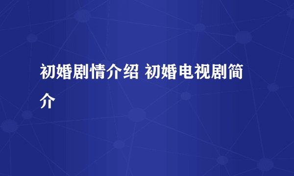 初婚剧情介绍 初婚电视剧简介