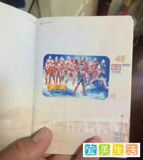 那些年被熊孩子毁过的护照