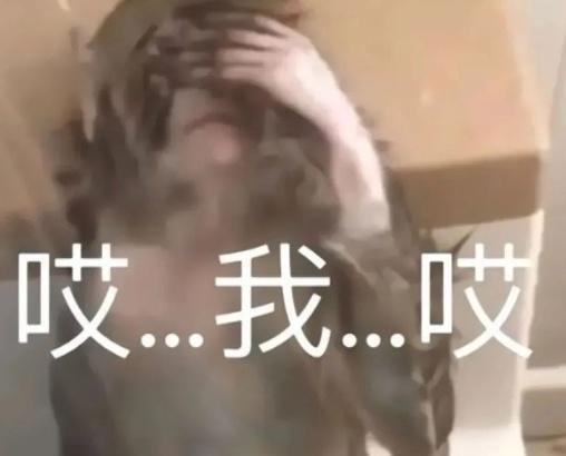 日本称为应对中国禁令已砸千亿日元