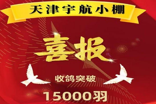 天津宇航赛鸽公棚小棚规程