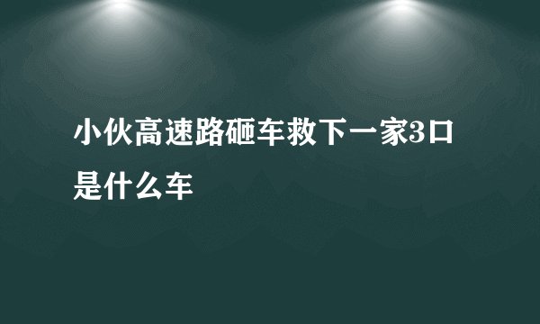 小伙高速路砸车救下一家3口 是什么车