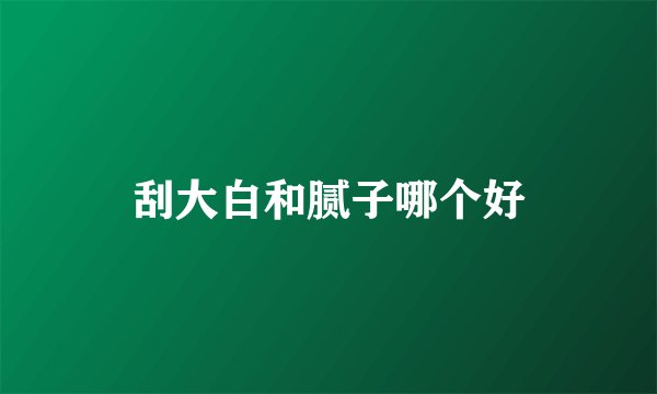 刮大白和腻子哪个好
