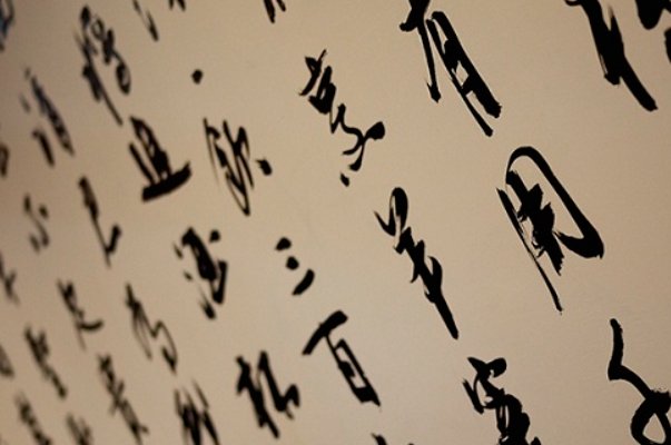 皖多音字