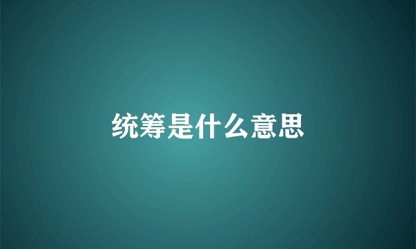 统筹是什么意思