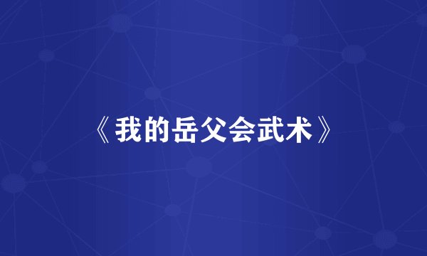 《我的岳父会武术》