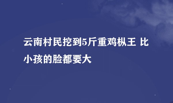 云南村民挖到5斤重鸡枞王 比小孩的脸都要大