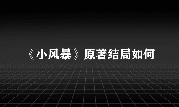 《小风暴》原著结局如何