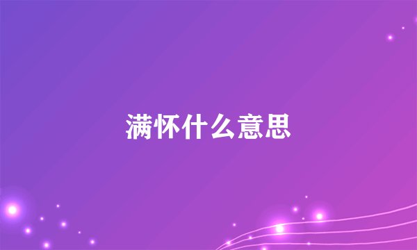 满怀什么意思