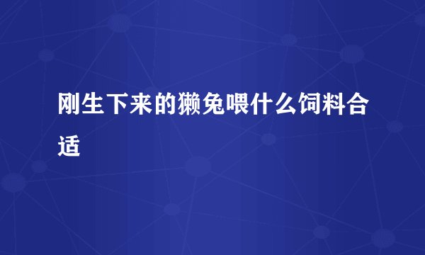 刚生下来的獭兔喂什么饲料合适
