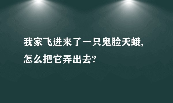 我家飞进来了一只鬼脸天蛾,怎么把它弄出去?