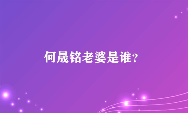 何晟铭老婆是谁？