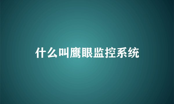 什么叫鹰眼监控系统