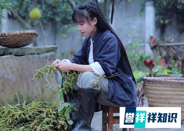 她是国内第一网红,停更数月曾对资本表示宣泄,如今获得央视力挺