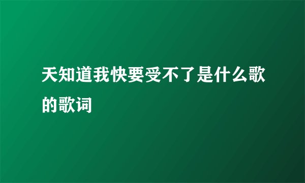 天知道我快要受不了是什么歌的歌词