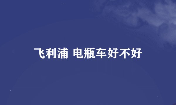 飞利浦 电瓶车好不好