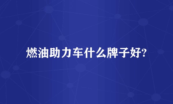 燃油助力车什么牌子好?