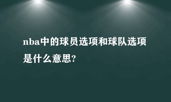 nba中的球员选项和球队选项是什么意思?