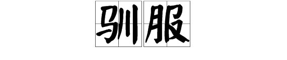 驯服什么意思?