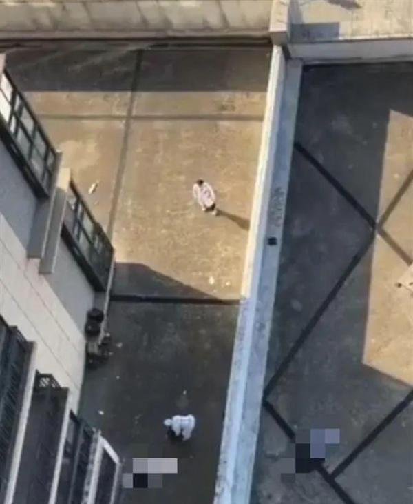 一男一女，相隔5个小时先后坠楼，网友得知两人的关系后不淡定了