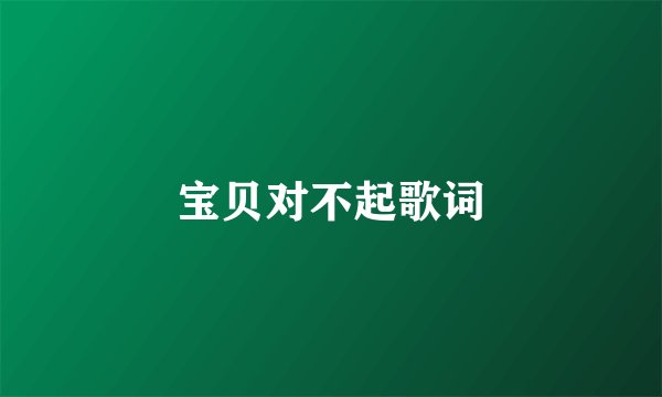 宝贝对不起歌词