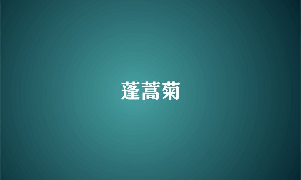 蓬蒿菊