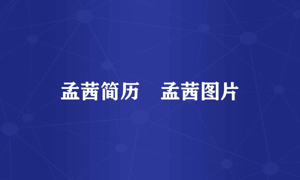 孟茜简历 孟茜图片