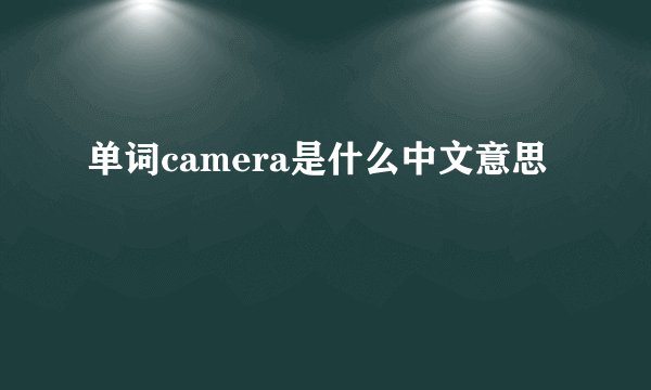 单词camera是什么中文意思