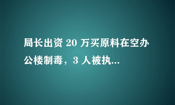 局长出资 20 万买原料在空办公楼制毒，3 人被执行死刑，背后涉及哪些制毒产业链？