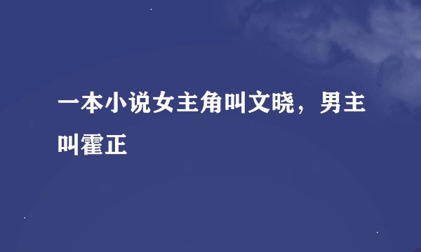 一本小说女主角叫文晓，男主叫霍正
