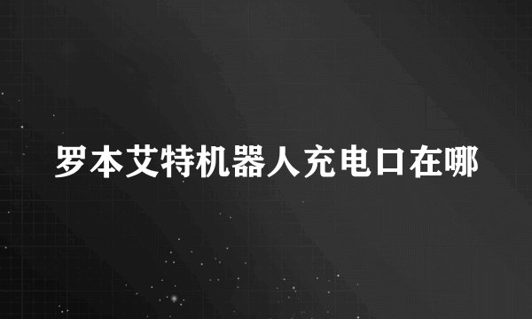 罗本艾特机器人充电口在哪