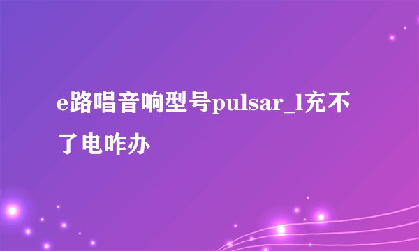 e路唱音响型号pulsar_l充不了电咋办